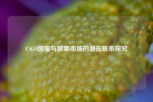 CSGO国服与股票市场的潜在联系探究