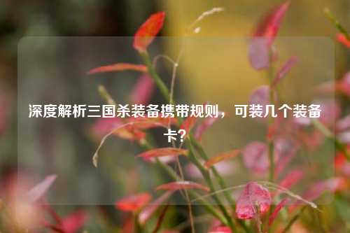 深度解析三国杀装备携带规则，可装几个装备卡？