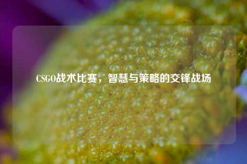 CSGO战术比赛，智慧与策略的交锋战场