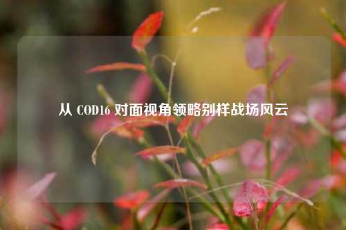 从 COD16 对面视角领略别样战场风云