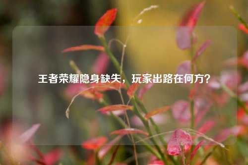 王者荣耀隐身缺失，玩家出路在何方？