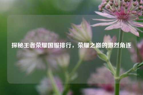 探秘王者荣耀国服排行，荣耀之巅的激烈角逐