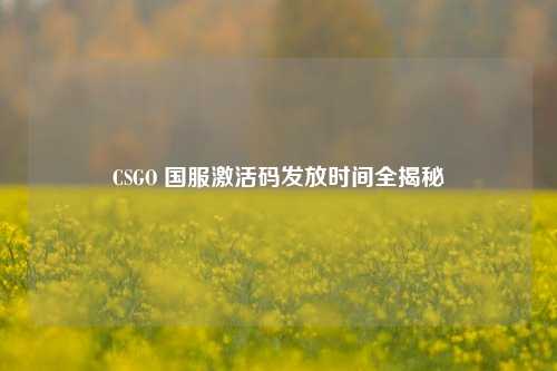CSGO 国服激活码发放时间全揭秘