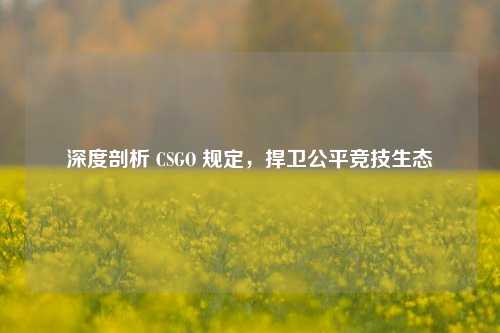 深度剖析 CSGO 规定，捍卫公平竞技生态