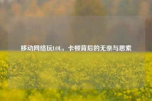 移动网络玩LOL，卡顿背后的无奈与思索