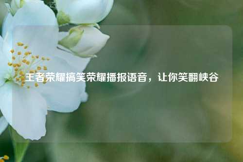 王者荣耀搞笑荣耀播报语音，让你笑翻峡谷