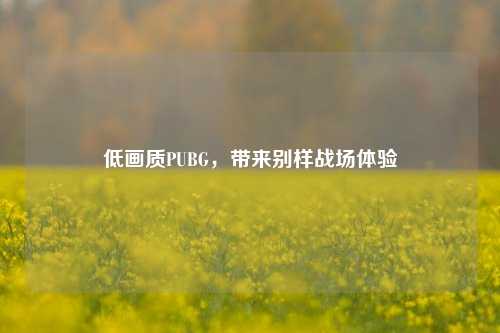 低画质PUBG，带来别样战场体验