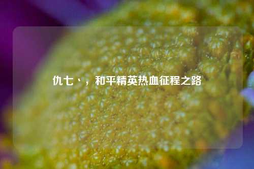 仇七丶，和平精英热血征程之路