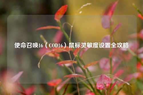 使命召唤16（COD16）鼠标灵敏度设置全攻略