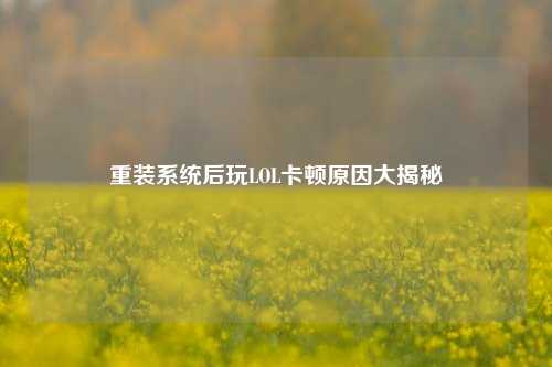 重装系统后玩LOL卡顿原因大揭秘