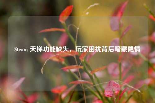 Steam 天梯功能缺失，玩家困扰背后暗藏隐情
