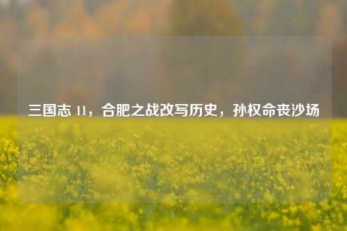 三国志 11，合肥之战改写历史，孙权命丧沙场