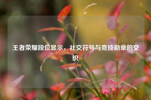 王者荣耀段位显示，社交符号与竞技勋章的交织