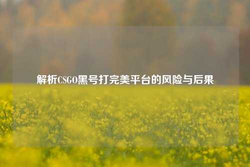 解析CSGO黑号打完美平台的风险与后果