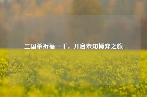 三国杀祈福一千，开启未知博弈之旅