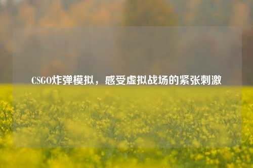 CSGO炸弹模拟，感受虚拟战场的紧张刺激