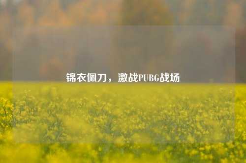 锦衣佩刀，激战PUBG战场