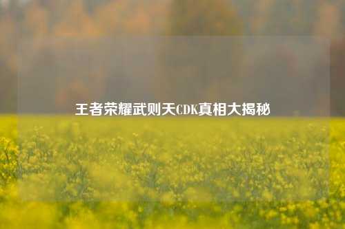 王者荣耀武则天CDK真相大揭秘