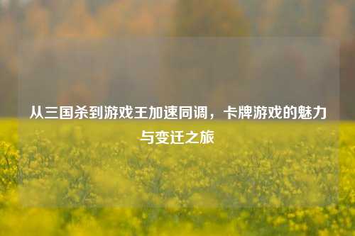 从三国杀到游戏王加速同调，卡牌游戏的魅力与变迁之旅