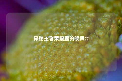 探秘王者荣耀里的晚风77