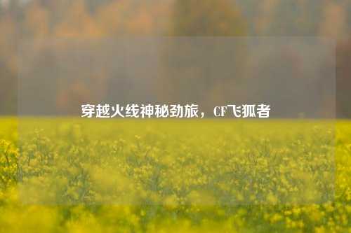 穿越火线神秘劲旅，CF飞狐者