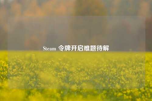 Steam 令牌开启难题待解