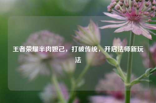 王者荣耀半肉妲己，打破传统，开启法师新玩法