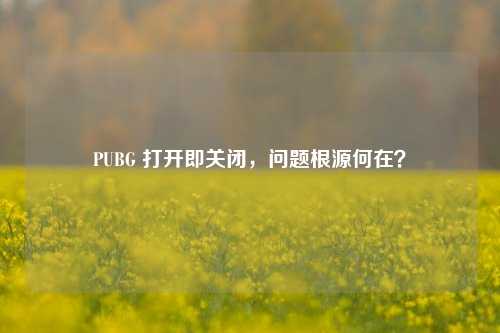 PUBG 打开即关闭，问题根源何在？