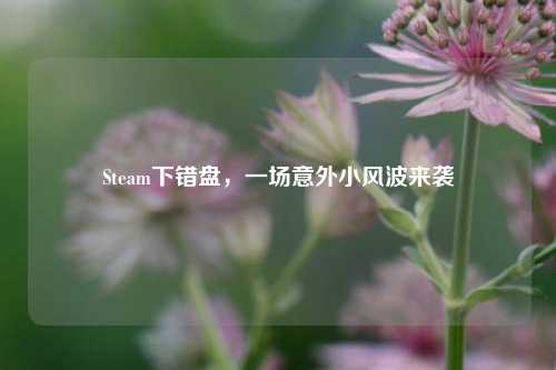 Steam下错盘，一场意外小风波来袭