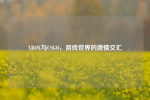 XBOX与CSGO，游戏世界的激情交汇