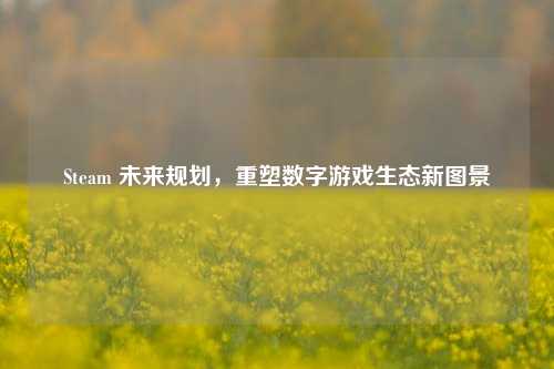 Steam 未来规划，重塑数字游戏生态新图景