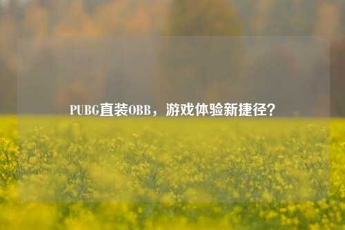PUBG直装OBB，游戏体验新捷径？