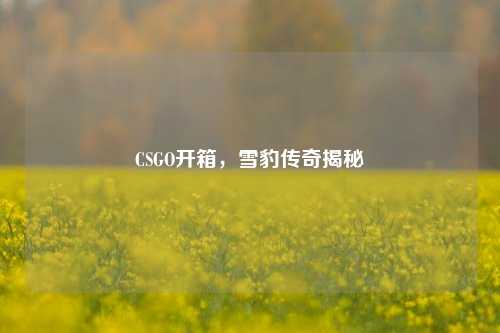 CSGO开箱，雪豹传奇揭秘