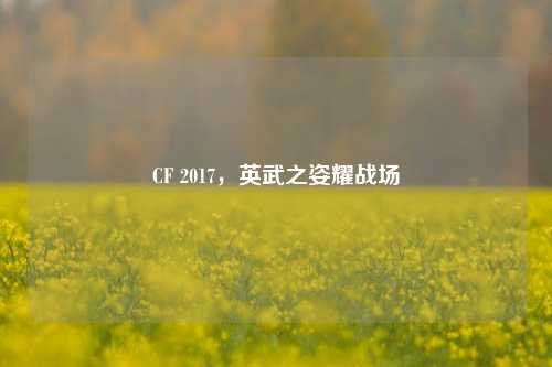 CF 2017，英武之姿耀战场