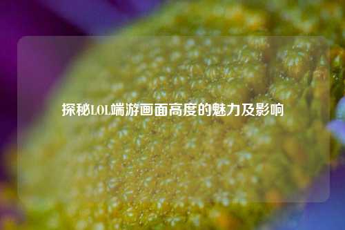 探秘LOL端游画面高度的魅力及影响