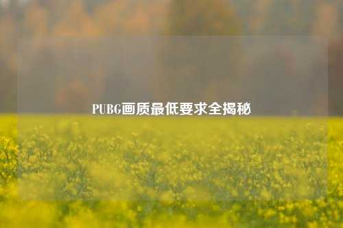 PUBG画质最低要求全揭秘