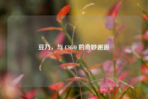 豆乃，与 CSGO 的奇妙邂逅