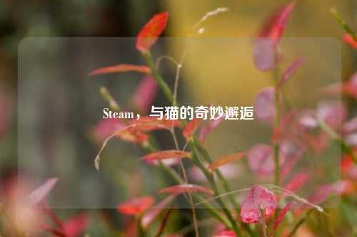 Steam，与猫的奇妙邂逅
