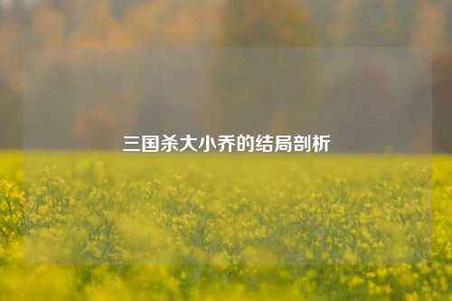 三国杀大小乔的结局剖析