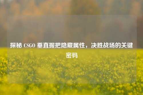 探秘 CSGO 垂直握把隐藏属性，决胜战场的关键密码