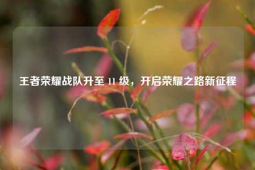 王者荣耀战队升至 11 级，开启荣耀之路新征程