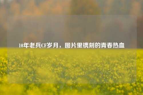10年老兵CF岁月，图片里镌刻的青春热血