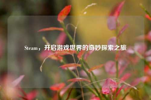 Steam，开启游戏世界的奇妙探索之旅