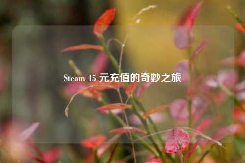 Steam 15 元充值的奇妙之旅