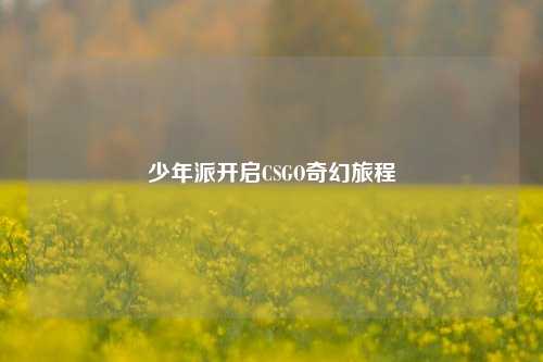 少年派开启CSGO奇幻旅程