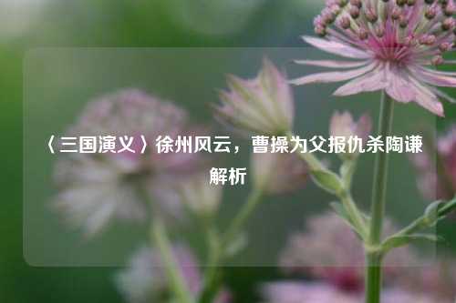 〈三国演义〉徐州风云，曹操为父报仇杀陶谦解析