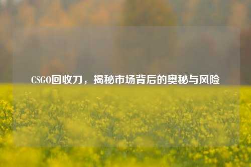CSGO回收刀，揭秘市场背后的奥秘与风险