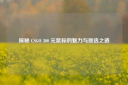 探秘 CSGO 300 元鼠标的魅力与挑选之道