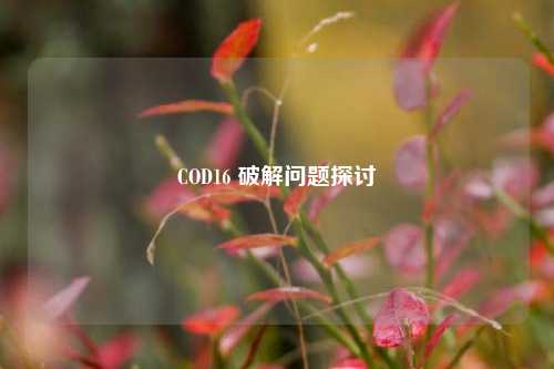 COD16 破解问题探讨