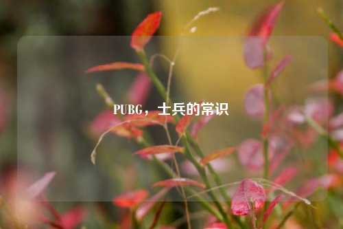 PUBG，士兵的常识